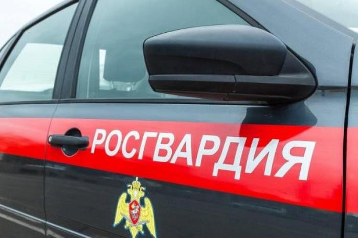 В Мирном Архангельской области сотрудники Росгвардии задержали нетрезвого водителя